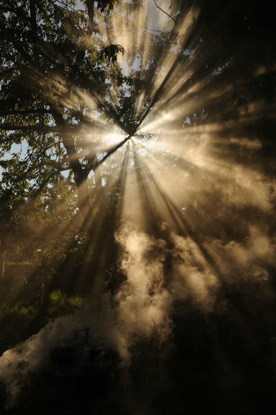 rays of hope